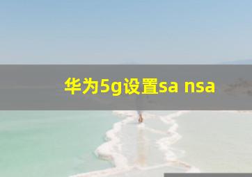 华为5g设置sa nsa